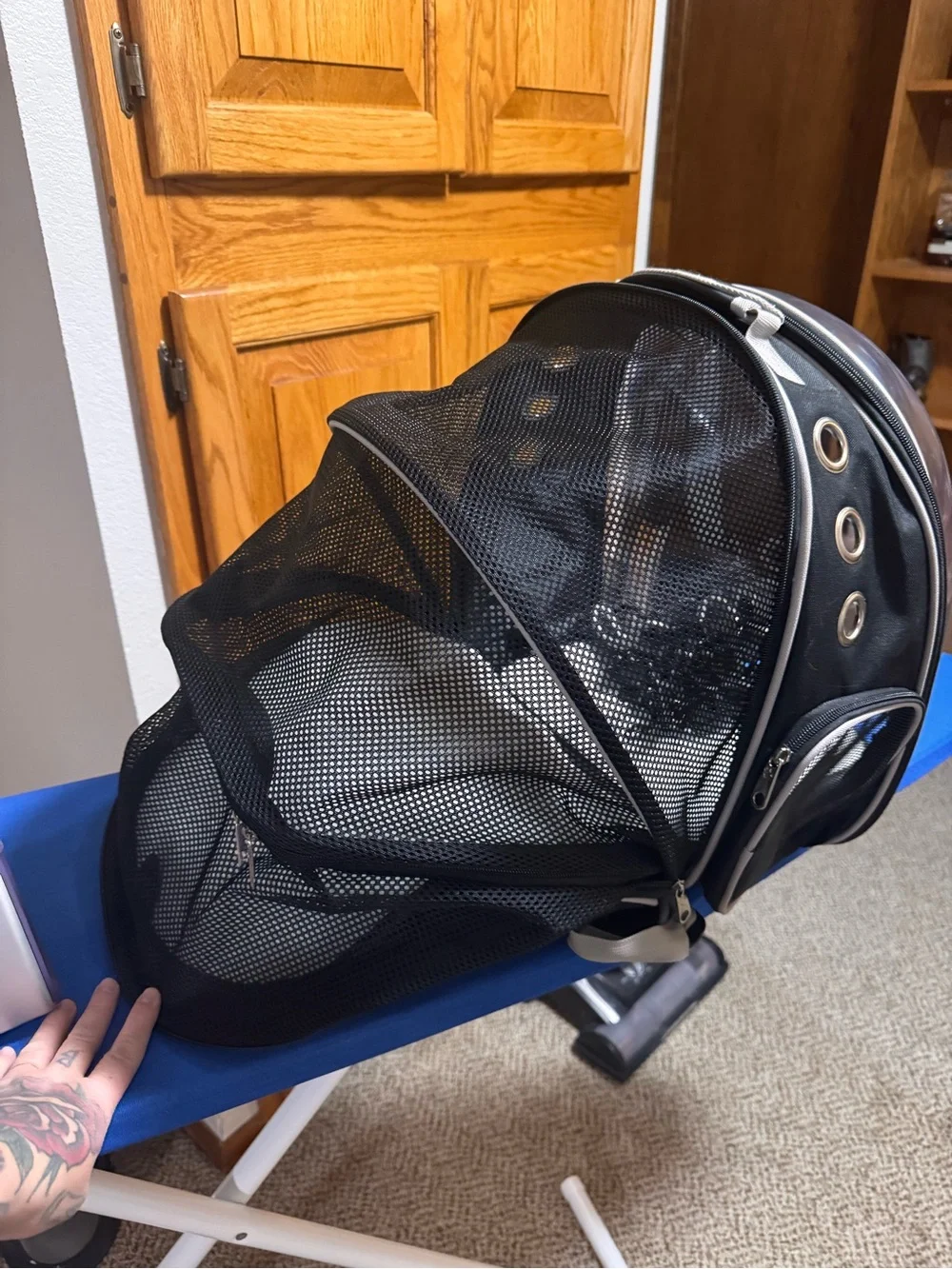 Transparent Bubble Small Pet Carrier and Harness